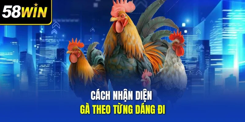 Cách nhận diện gà theo từng dáng đi
